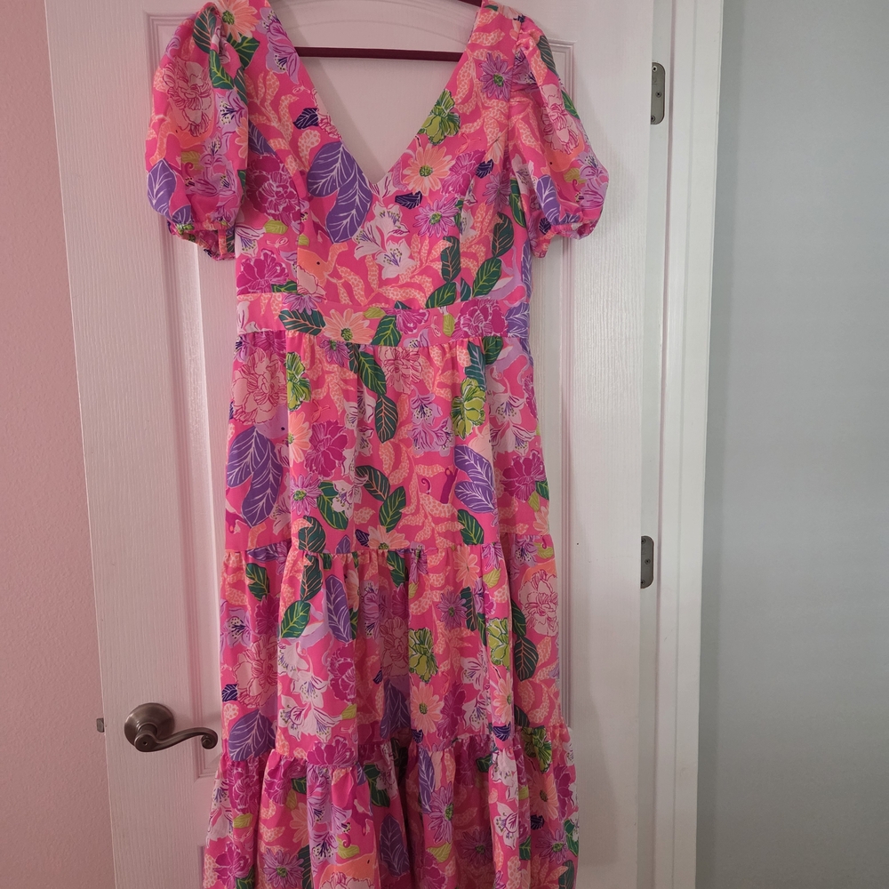 Lilly Pulitzer Size 16 Grace Tiered Pink Isle Best Of Friends Maxi Dress